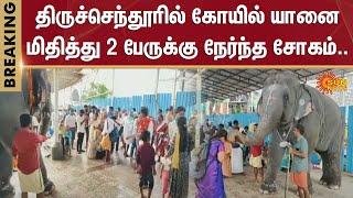 Thiruchendur Elephant Incident | Tamil Nadu | Thiruchendur Murugan temple | Sun News