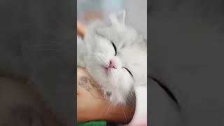 like subscribe please friend's