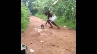 Paambu comedy video Funny snake video