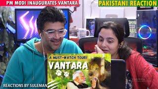 Pakistani Couple Reacts To PM Modi Inaugurates Vantara In Jamnagar | Gujarat