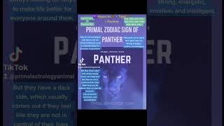 #astrology #yearofthetiger #aquarius #panther #primalastrologyanimal #viralastrology