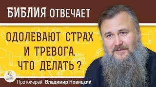 КАК ПРЕОДОЛЕВАТЬ СТРАХ И ТРЕВОГУ ?  Протоиерей Владимир Новицкий