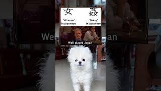 Subscribe :)#memes #dog