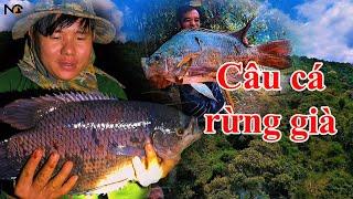 4 Ngày 3 đêm cắm trại săn cá lớn rừng già