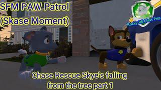 SFM PAW Patrol | Chase Rescue Skye’s falling from the tree part 1 (Skase Moment)