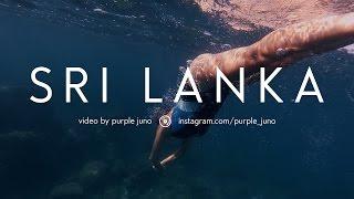 Sri Lanka Trip | Путешествие по Шри Ланке