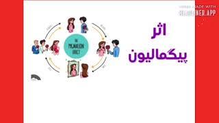 گاهنامه مدیر گویا ۷۲: اثر پیگمالیون
