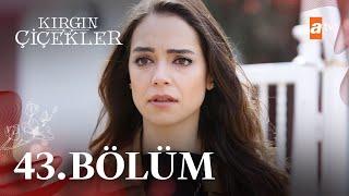 Kırgın Çiçekler 43. Bölüm - atv