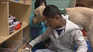 Austin hospital therapy dog helps kids with special needs