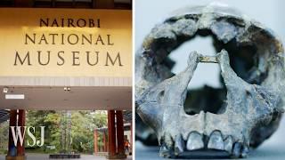 Why a Museum Housing Some of Humanity's Oldest Bones Is in Peril | WSJ