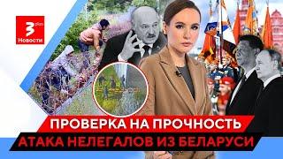 В Литву вновь хлынул поток нелегалов: Лукашенко придумал новый план / Новости TV3 Plus