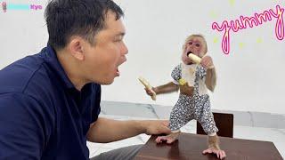 What did Kyo do that Dad couldn't believe? - Kyo is incredibly smart!