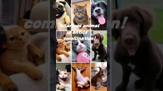 Wildly Funny: Hilarious Animal Antics Compilation#HilariousPets#LaughOutLoud#CuteAndFunny #funny