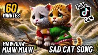 60 Minutes Poor Kitten Christmas Miaw miaw miaw miaw sad cat song #cat #cute #ai