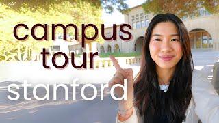 Stanford Alumni Raw Thoughts As I Wander Campus [Special Episode]