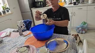  воняет на кухне, серебро начисто. 