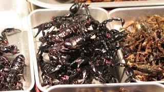 Eating Scorpions and Cockroaches. Bangkok Street Food, Thailand