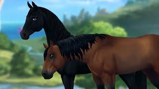 Star Stable Horses App Bazaar! Buying an AQH and an Ahkal-Teke! June 2024 ~ [SSO] Star Stable Online