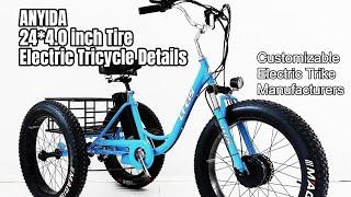 ANYIDA 24*4.0 inch Tire Electric Tricycle Details | Customizable Electric Trike Manufacturers