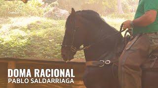 DOMA RACIONAL - PABLO SALDARRIAGA