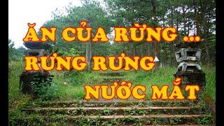 Hồi Ký Miền Nam | "Ăn Của Rừng … Rưng Rưng Nước Mắt" (Hai Hùng SG)