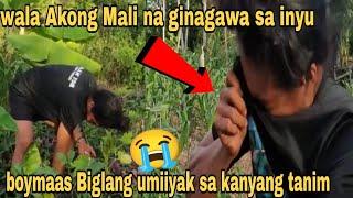 Boymaas harvest buko at niyog at bigla nalang---?@BOYMAASOFFICIAL2.0