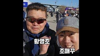 조매꾸 모음 24년 1월에서 9월까지 | 조금씩 매일 꾸준히 하루 1%의 기적 #조매꾸