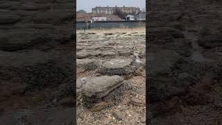 Hunstanton TOWN beach - loss of sand due to longshore drift - SOUTH - towards Heacham and Snettisham