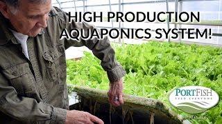 Local Gardener Creates A Large Scale Sustainable Aquaponics System! 