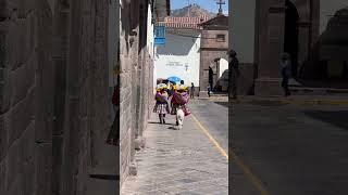 Cusco Peru, Walk with the Alpacas 