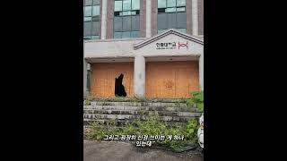 폐교 전 아름다운 캠퍼스를 갖췄던 한중대학교, 폐교 후 5년 뒤 현재모습 #한중대학교 #폐교