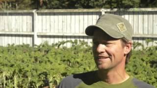 Advice on Starting Your Own Calgary Vegetable Garden