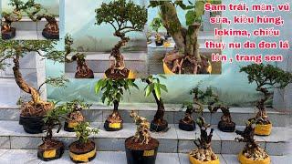 Hiếu 7/10 bán nhiều loại cây cảnh bonsai, cây ăn trái ĐB có cây Mận tam hoa