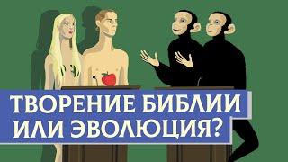 Творение Библии или Эволюция? | Раввин Михаил Финкель