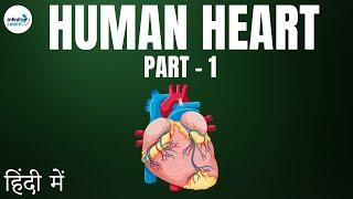 Life Processes - Lesson 20 | Human Heart (Part 1) - in Hindi (हिंदी में ) | Infinity Learn