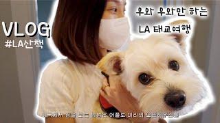 VLOG LA 부동산 여행인지 태교여행인지.. & 16주 임산부 LA 여행