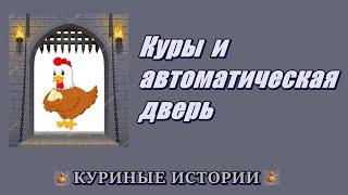 Реакция курей на автоматическую дверь. *** КУРИНЫЕ ИСТОРИИ ***