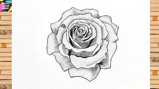 Easy Rose Drawing Tutorial | Step-by-Step Rose Sketch for Beginners