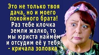 – Это НЕ только ТВОЯ дача, и мы ОТСУДИМ её у тебя, в память о покойном брате! – кричала золовка