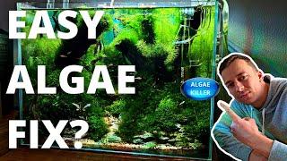 ALGAE TABLETS! DO THEY WORK? LET'S FIND OUT!