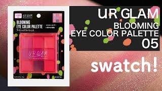 【100均コスメ】URGLAM ブルーミングアイカラーパレット 05【swatch】