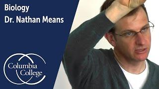 Dr. Nathan Means: Associate Professor of Biology, Columbia College