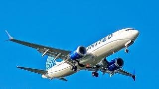 Beautiful Start 2025 Up Close Short Final 1L Tampa International Airport