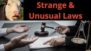 Strange and Unusual Laws - AIRC523