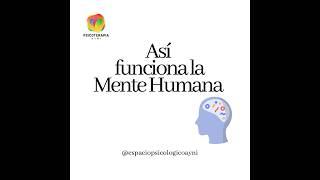 Asi funciona la mente humana 