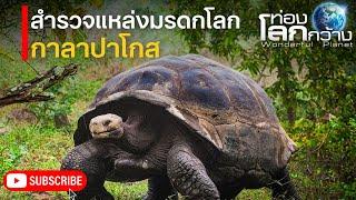 สารคดีท่องโลกกว้าง ท่องแหล่งมรดกโลก ตอน สำรวจหมู่เกาะกาลาปาโกส | สารคดี กาลาปากอส สารคดีสัตว์โลก