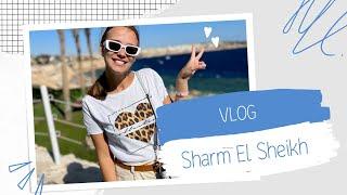 VLOG: SHARM EL SHEIKH. Рабочая поездка.