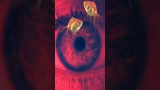Crystal Method Ft. Alan Watts | Glass Breaker (s) 2