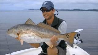 Experience Saltwater Fly Fishing & Light Tackle Fishing on Virginia's Chesapeake Bay.