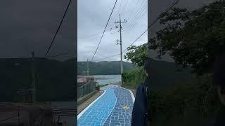 #신상 #라이브 #쇼핑 #셀러 #무료배송 #반팔 #다다마켓2